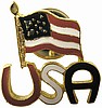 Patriotic USA with American Flag Pin