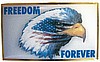 Freedom Forever American Eagle Lapel Pin